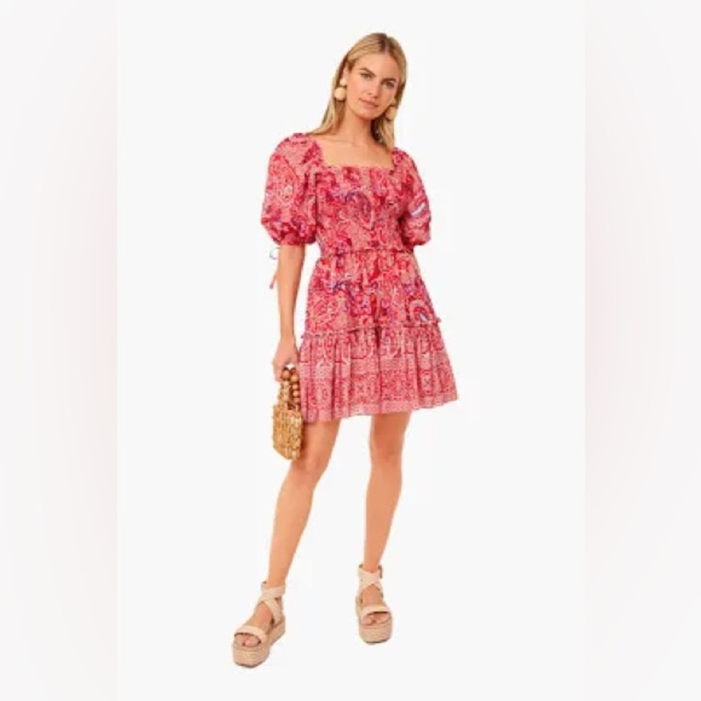 Cara Cara Pink Paisley Mini Dress